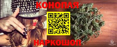 амф Сланцы