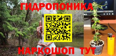 ПСИЛОЦИБИНОВЫЕ ГРИБЫ Среднеуральск