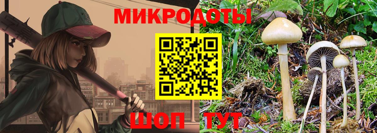 Новоуральск  Псилоцибиновые грибы MAGIC MUSHROOMS  Вход с VPN 