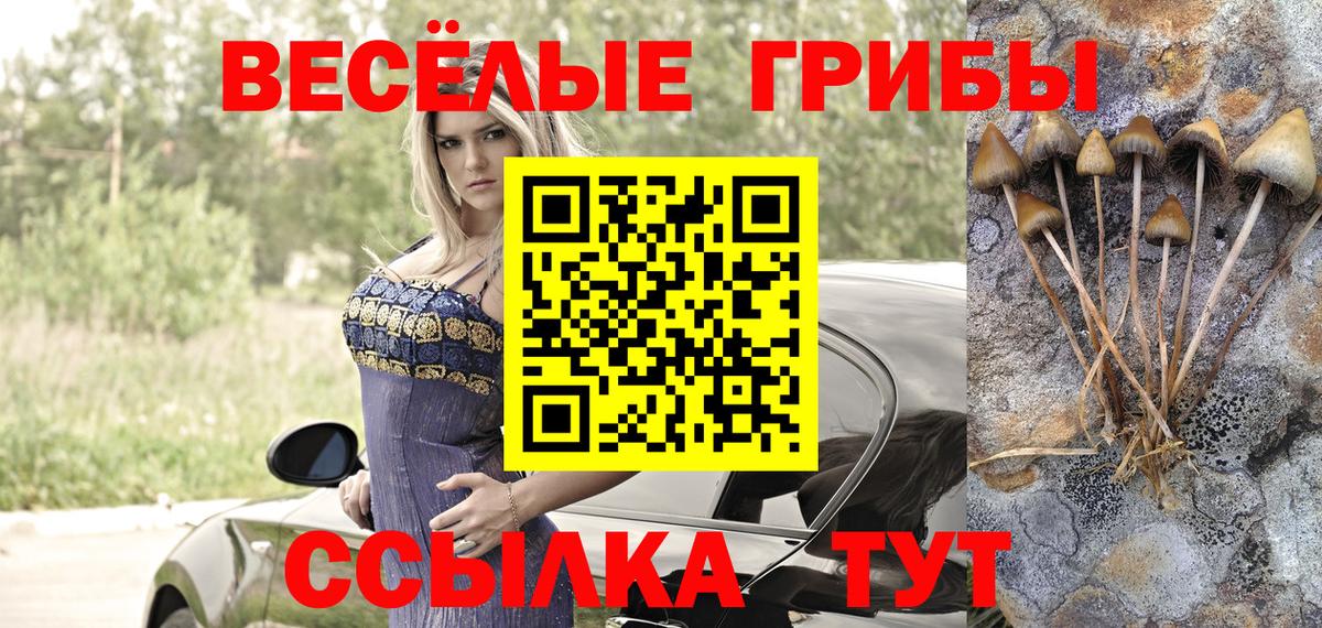 Псилоцибиновые грибы мицелий Новоуральск